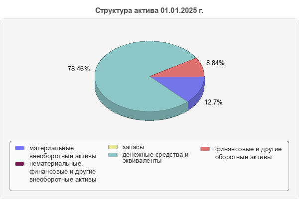 Структура актива 01.01.2025 г.