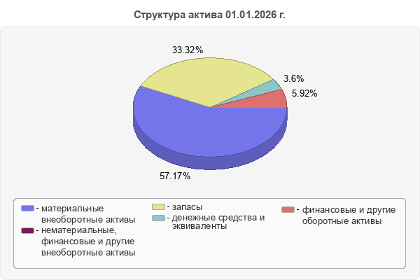 Структура актива 01.01.2026 г.