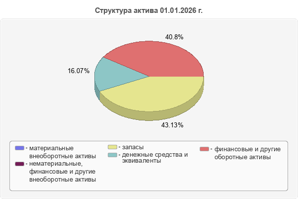 Структура актива 01.01.2026 г.