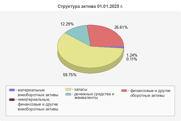 Структура актива 01.01.2025 г.