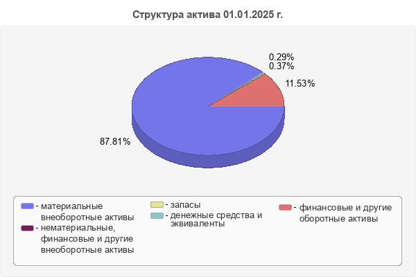 Структура актива 01.01.2025 г.