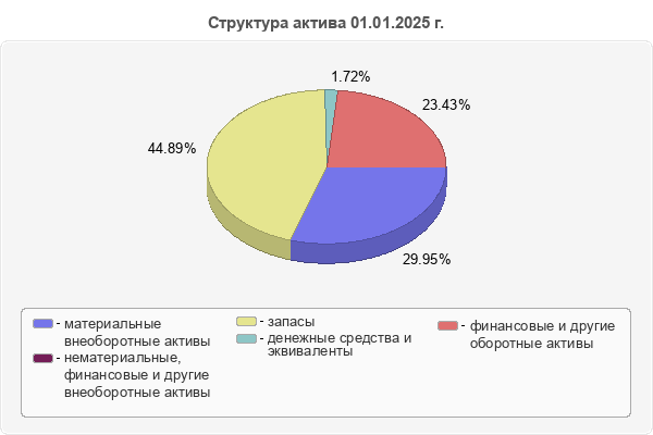 Структура актива 01.01.2025 г.