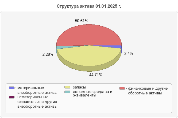 Структура актива 01.01.2025 г.