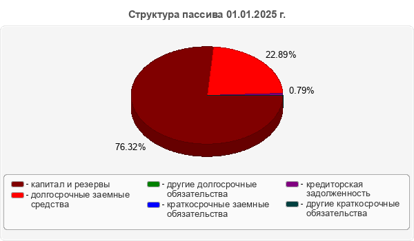 Структура пассива 01.01.2025 г.