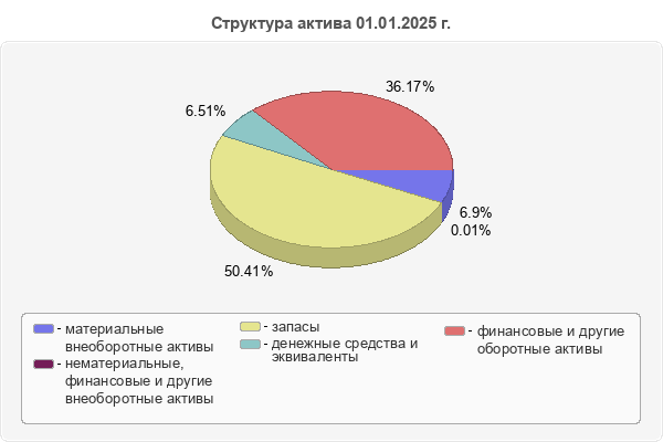 Структура актива 01.01.2025 г.
