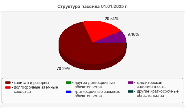 Структура пассива 01.01.2025 г.