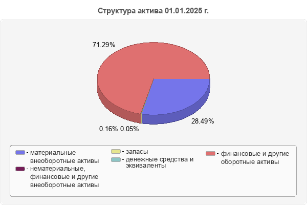 Структура актива 01.01.2025 г.