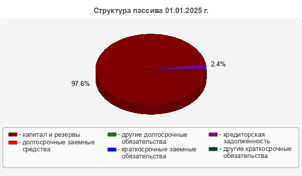 Структура пассива 01.01.2025 г.