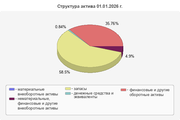 Структура актива 01.01.2026 г.