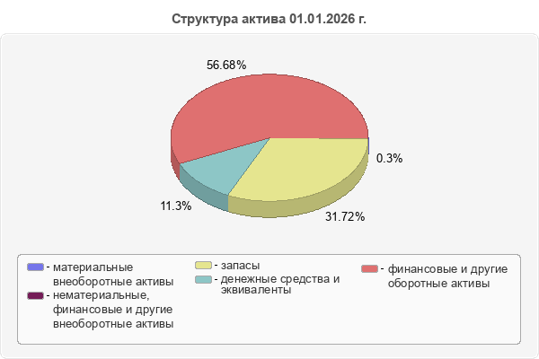 Структура актива 01.01.2026 г.
