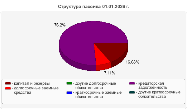 Структура пассива 01.01.2026 г.