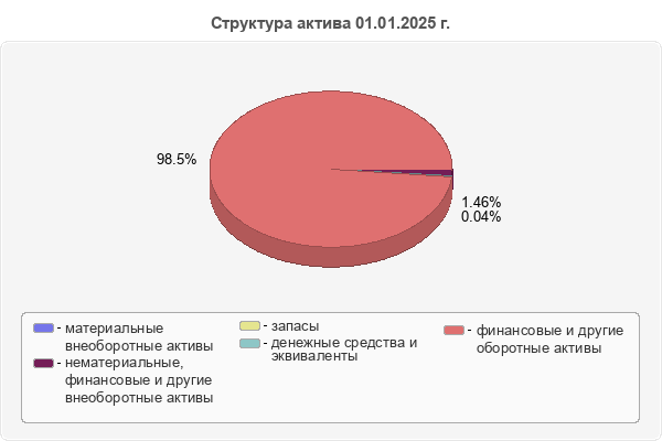 Структура актива 01.01.2025 г.