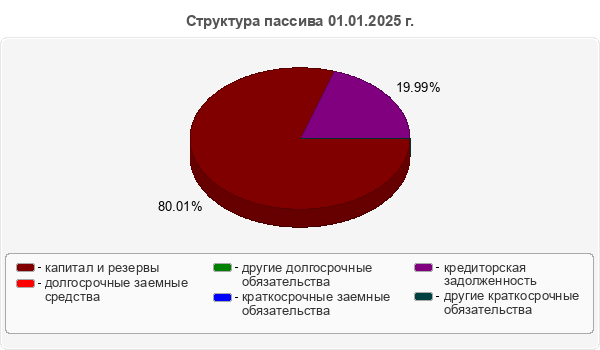Структура пассива 01.01.2025 г.