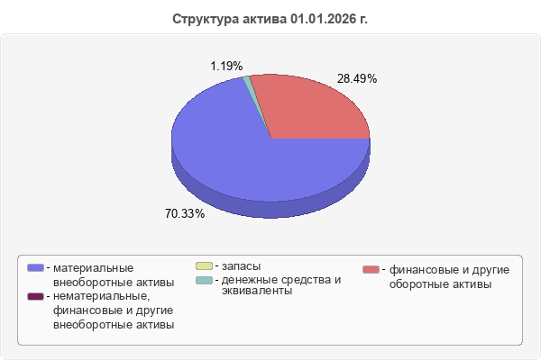 Структура актива 01.01.2026 г.