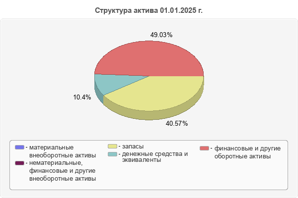 Структура актива 01.01.2025 г.