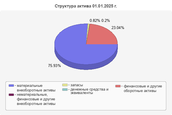 Структура актива 01.01.2025 г.