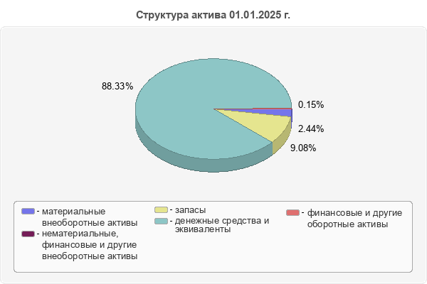 Структура актива 01.01.2025 г.