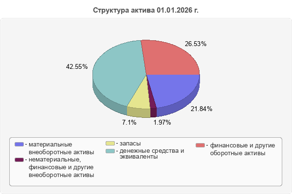 Структура актива 01.01.2026 г.