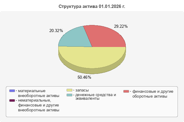 Структура актива 01.01.2026 г.