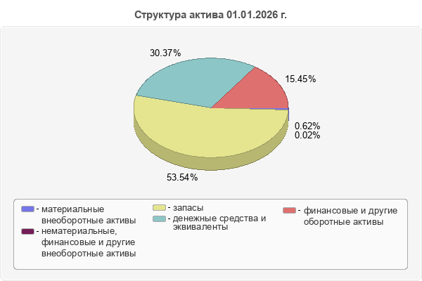 Структура актива 01.01.2026 г.