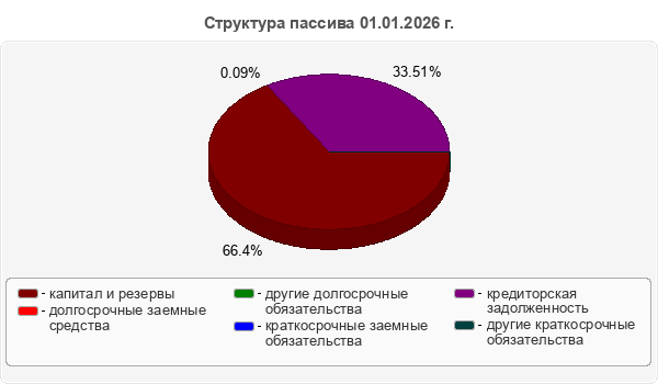 Структура пассива 01.01.2026 г.