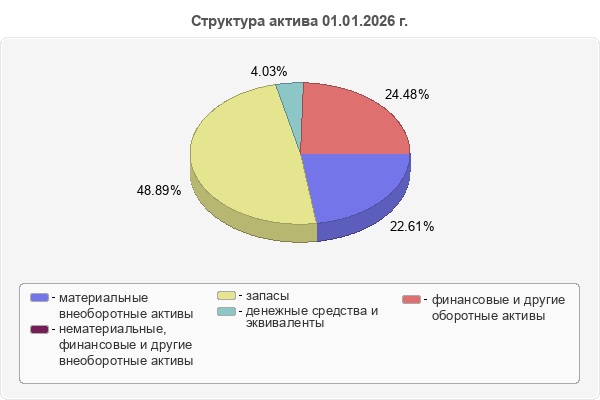 Структура актива 01.01.2026 г.