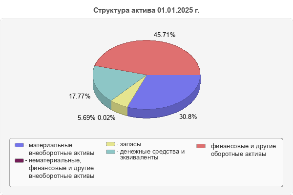 Структура актива 01.01.2025 г.