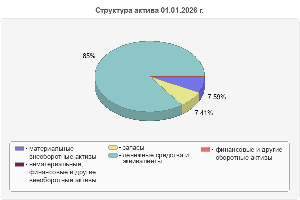 Структура актива 01.01.2026 г.