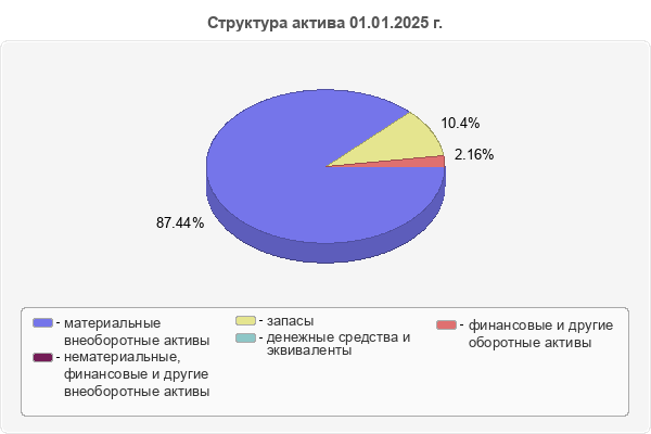 Структура актива 01.01.2025 г.