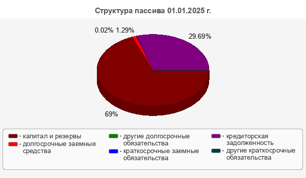 Структура пассива 01.01.2025 г.