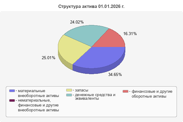 Структура актива 01.01.2026 г.