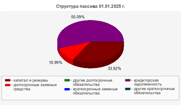Структура пассива 01.01.2025 г.