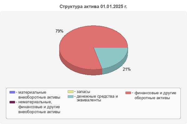 Структура актива 01.01.2025 г.