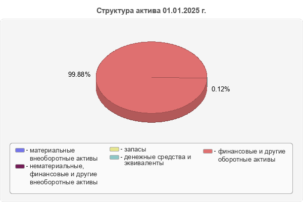 Структура актива 01.01.2025 г.