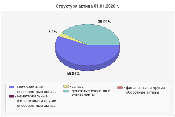 Структура актива 01.01.2026 г.