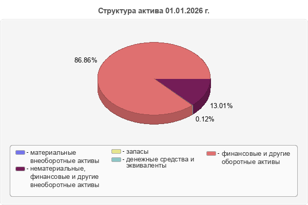 Структура актива 01.01.2026 г.