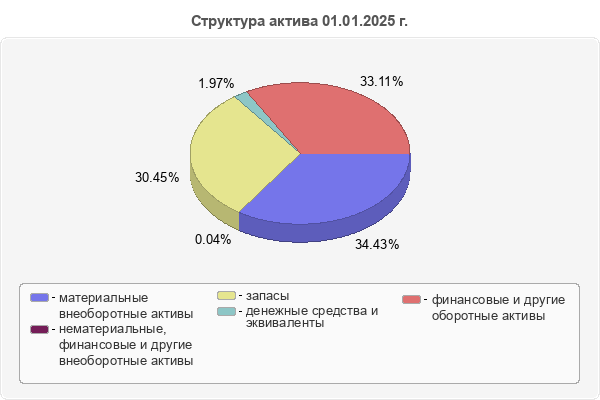 Структура актива 01.01.2025 г.