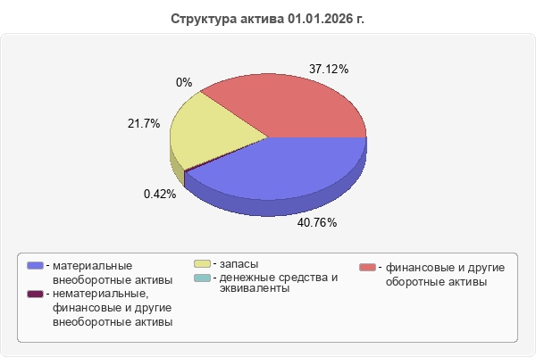 Структура актива 01.01.2026 г.