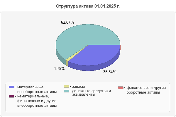 Структура актива 01.01.2025 г.