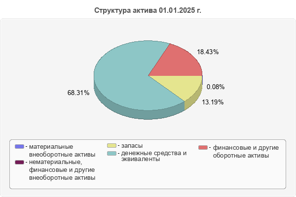 Структура актива 01.01.2025 г.