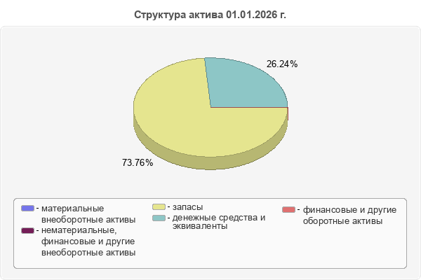 Структура актива 01.01.2026 г.