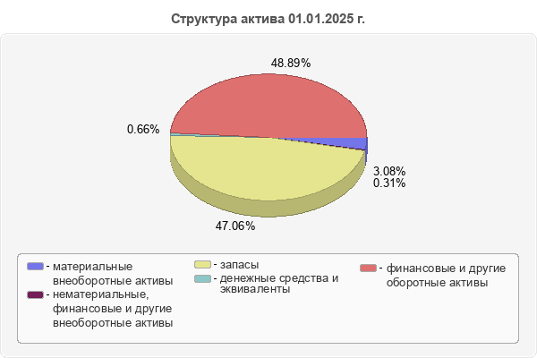 Структура актива 01.01.2025 г.