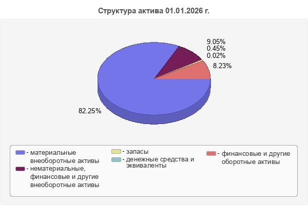 Структура актива 01.01.2026 г.
