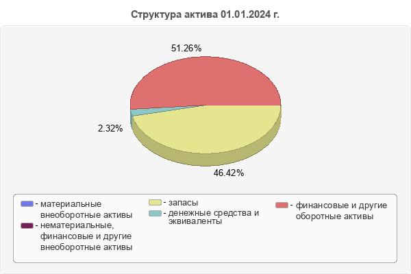 Структура актива 01.01.2024 г.