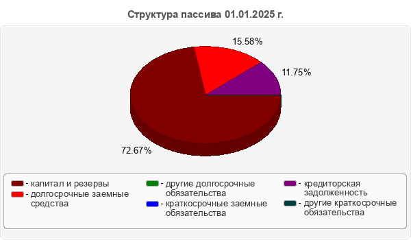 Структура пассива 01.01.2025 г.