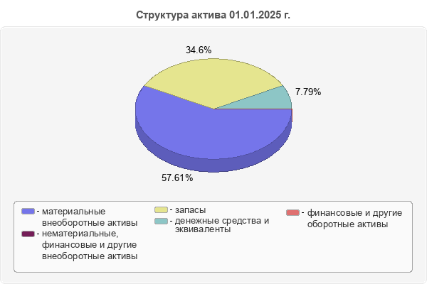 Структура актива 01.01.2025 г.