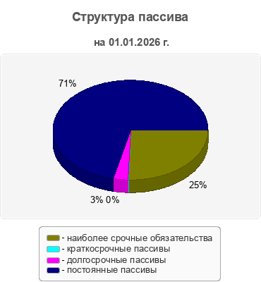 Структура пассива