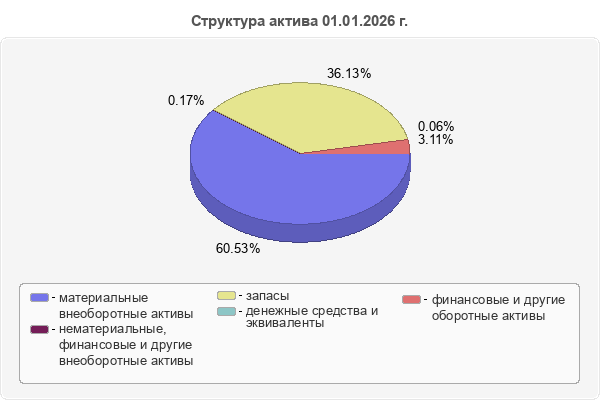 Структура актива 01.01.2026 г.