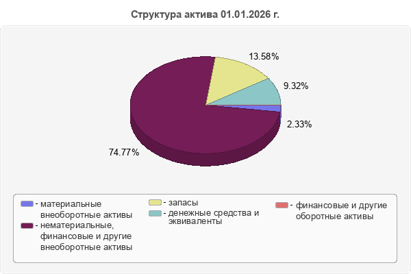 Структура актива 01.01.2026 г.