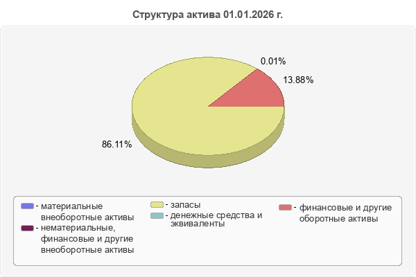 Структура актива 01.01.2026 г.